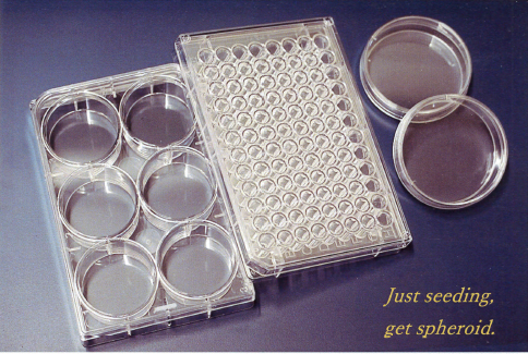 図1：３次元細胞培養用器材『CEP-3D Spheroid Plates』